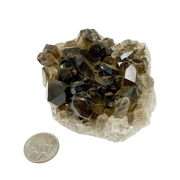 Smoky Quartz Mineral Specimen Image 2 Miner's Den Jewelers Royal Oak, MI