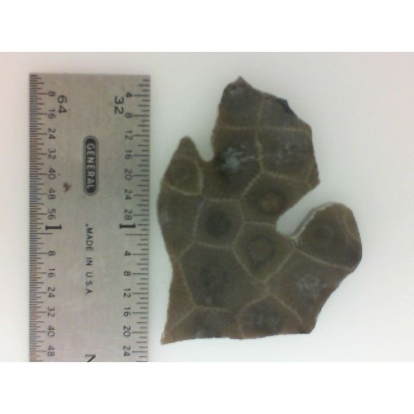 Minerals Miner's Den Jewelers Royal Oak, MI