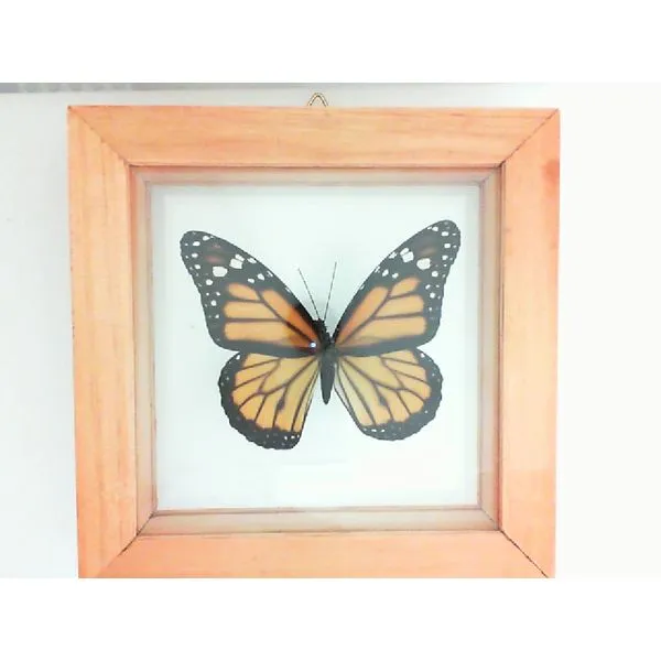 Gifts similar item image