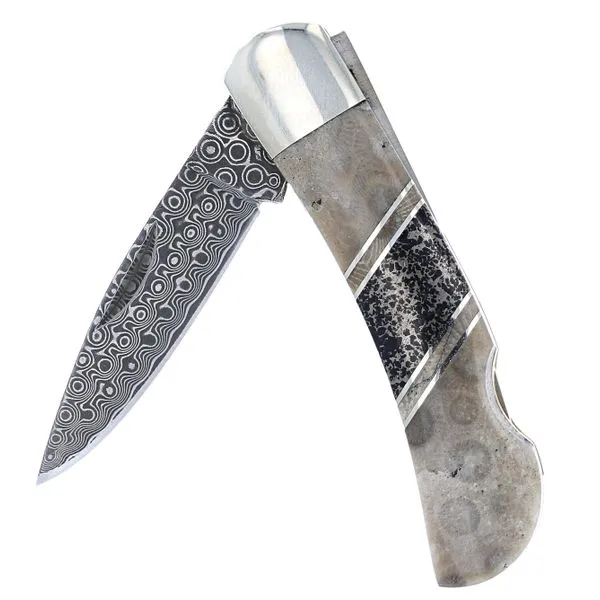 Pocket Knife Damascus 3\ Lock Back Petoskey Stone and Apa...