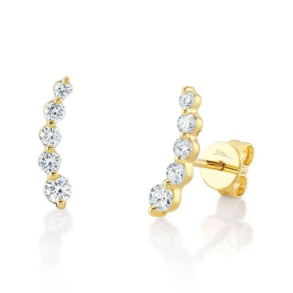Diamond Earrings Miner's North Jewelers Traverse City, MI