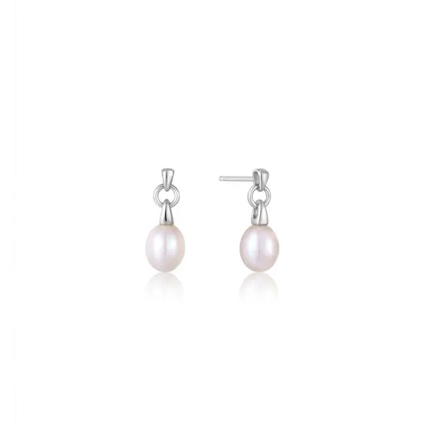 Silver Earrings Miner's North Jewelers Traverse City, MI