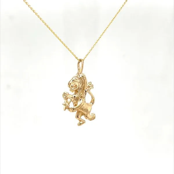 14K Yellow Gold Estate Lion Pendant Necklace Image 2 Minor Jewelry Inc. Nashville, TN