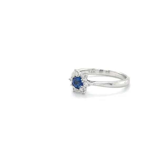 14K White Gold Sapphire and Diamond Ring Image 3 Minor Jewelry Inc. Nashville, TN