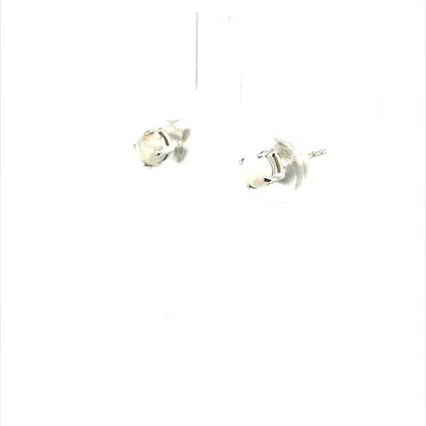 14K White Gold Opal Earrings Image 2 Minor Jewelry Inc. Nashville, TN