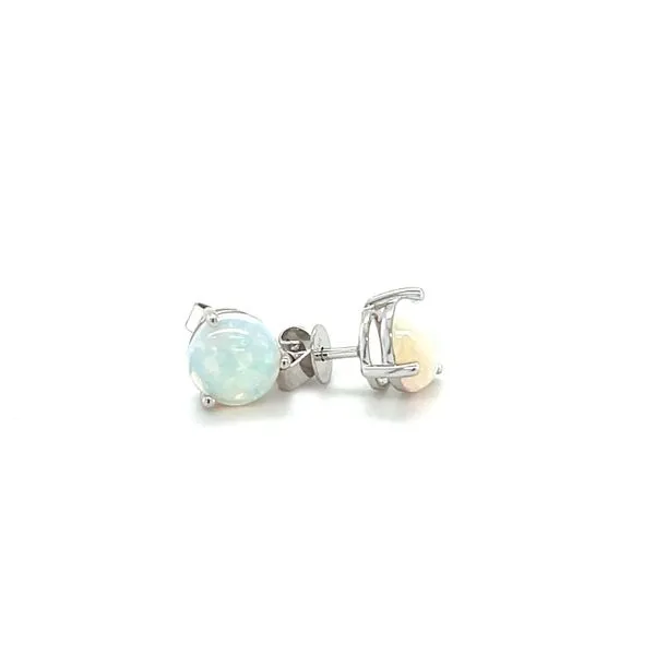 14K White Gold Opal Stud Earrings Minor Jewelry Inc. Nashville, TN