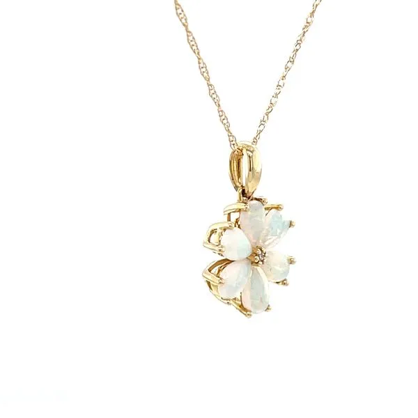 14K Yellow Gold Opal Pendant Necklace Image 3 Minor Jewelry Inc. Nashville, TN