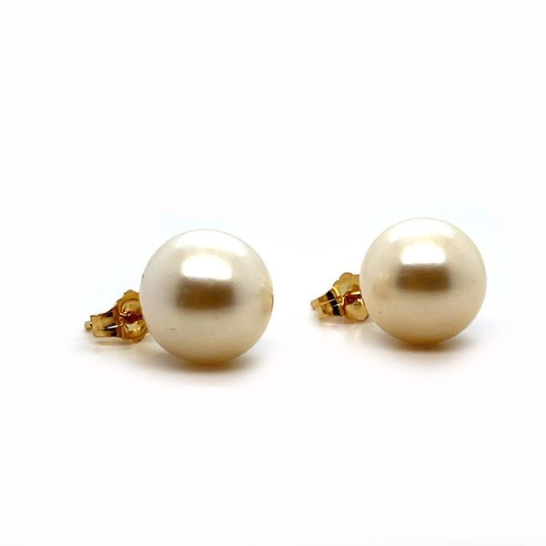 14K Yellow Gold Freshwater Pearl Stud Earrings Image 2 Minor Jewelry Inc. Nashville, TN