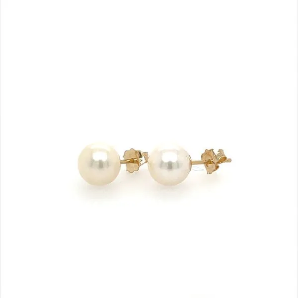 Akoya saltwater Pearl Pearl Stud Earring 7.5MM Yellow 14K Image 2 Minor Jewelry Inc. Nashville, TN