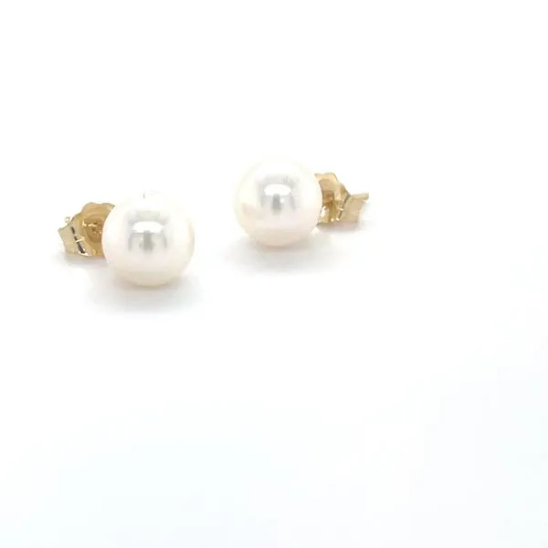 14K Yellow Gold White Cultured Pearl Stud Earrings Image 2 Minor Jewelry Inc. Nashville, TN