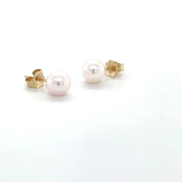 14K Yellow Gold White Cultured Pearl Stud Earrings Image 2 Minor Jewelry Inc. Nashville, TN