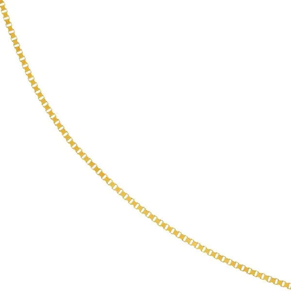 14K Yellow Gold Box Chain Image 2 Minor Jewelry Inc. Nashville, TN