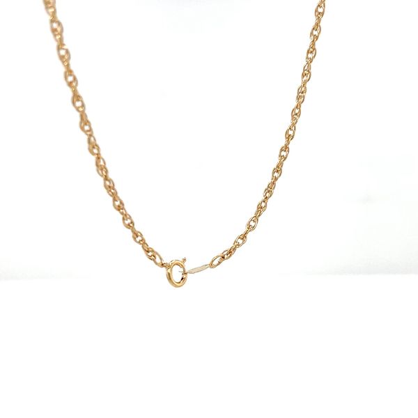 14K Yellow Gold Rope Chain Image 2 Minor Jewelry Inc. Nashville, TN
