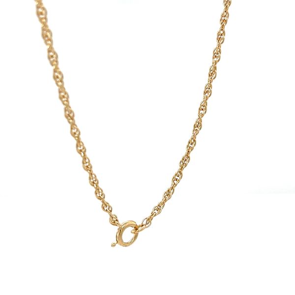 14K Yellow Gold Rope Chain Image 3 Minor Jewelry Inc. Nashville, TN