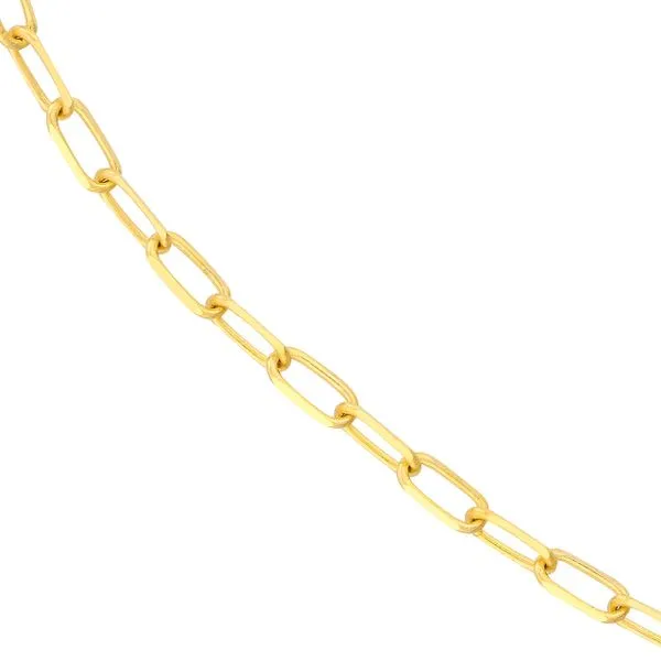 14K Yellow Gold DC 1.95mm Paper Clip No Clasp Welded 'Permanent' Wrist or Ankle Bracelet Image 2 Minor Jewelry Inc. Nashville, TN