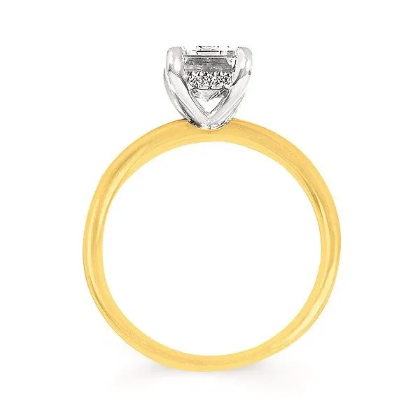 Diamond Hidden Halo Engagement Ring Image 2 Mitchell's Jewelry Norman, OK