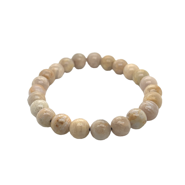 Coral Fossil Bead Bracelet Mitchell's Jewelry Norman, OK