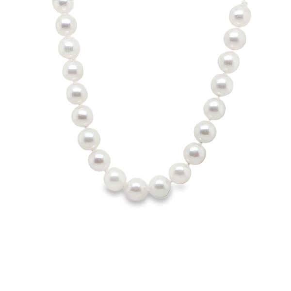 Akoya Pearl Strand by Gabbay Mitchell's Jewelry Norman, OK