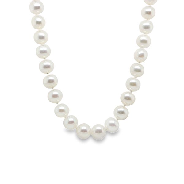 Pearl Strand Mitchell's Jewelry Norman, OK