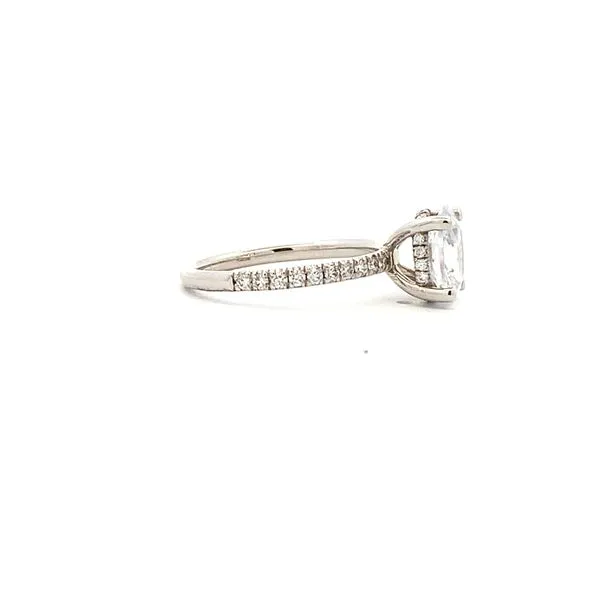 Hidden Halo CZ Engagement Ring - White 14 Karat - Size 6.5 Image 2 Molinelli's Jewelers Pocatello, ID