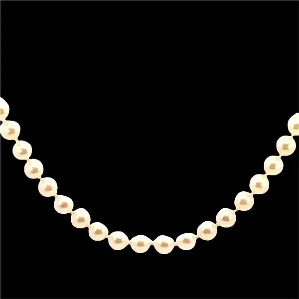 Pearl Bracelet Molinelli's Jewelers Pocatello, ID