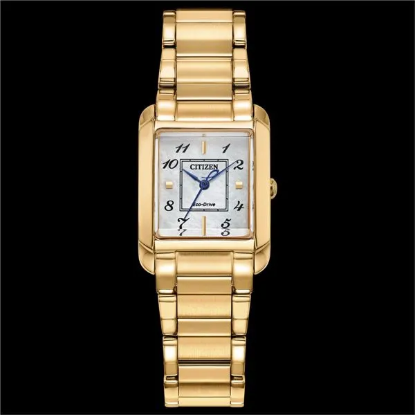 Lady's White Stainlesssteel Watch Echo Drive Molinelli's Jewelers Pocatello, ID