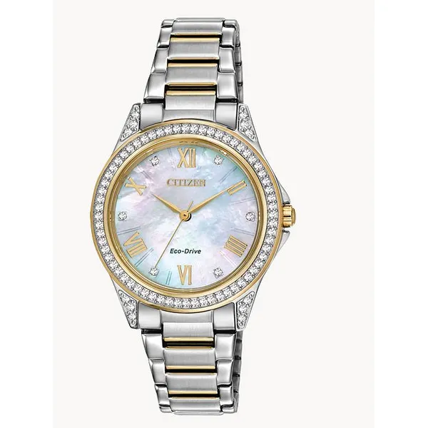 Citizen Weekender Lady's Two Tone Stainlesssteel Watch Molinelli's Jewelers Pocatello, ID