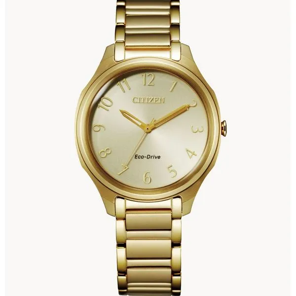 Citizen Men's Watches Molinelli's Jewelers Pocatello, ID