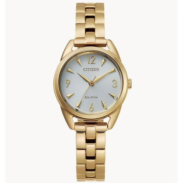 Citizen Men's Watches Molinelli's Jewelers Pocatello, ID