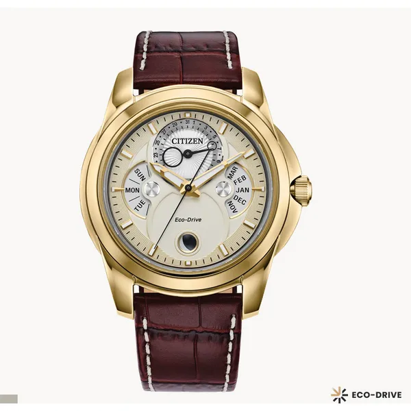 Citizen Men's Watches Molinelli's Jewelers Pocatello, ID