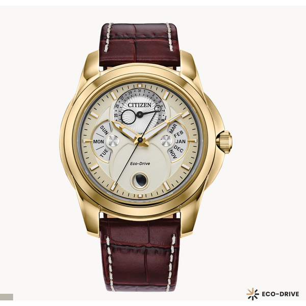 Citizen Men's Watches Molinelli's Jewelers Pocatello, ID
