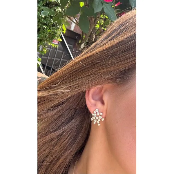 Lady's 14Kt Yellow Gold Diamond Cluster Earrings – 2.62 CTW Mollys Jewelers Brooklyn, NY