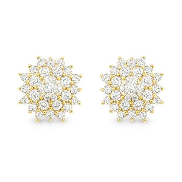 Diamond Earring Mollys Jewelers Brooklyn, NY