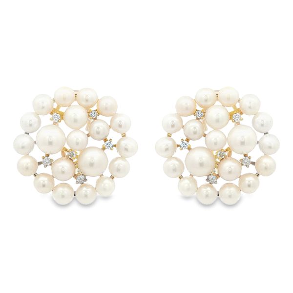 Colored Stone Earring Mollys Jewelers Brooklyn, NY