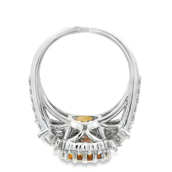 18K White Gold Sapphire Custom Fashion Ring Image 4 Monarch Jewelry Winter Park, FL