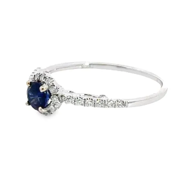 18KW 0.46ct Round Sapphire Halo Ring with 0.25ctw diamonds 200-00684 Image 2 Monarch Jewelry Winter Park, FL