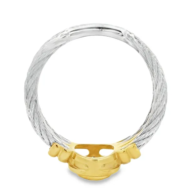 14K White and Yellow Gold Tanzanite Cable Ring Image 4 Monarch Jewelry Winter Park, FL