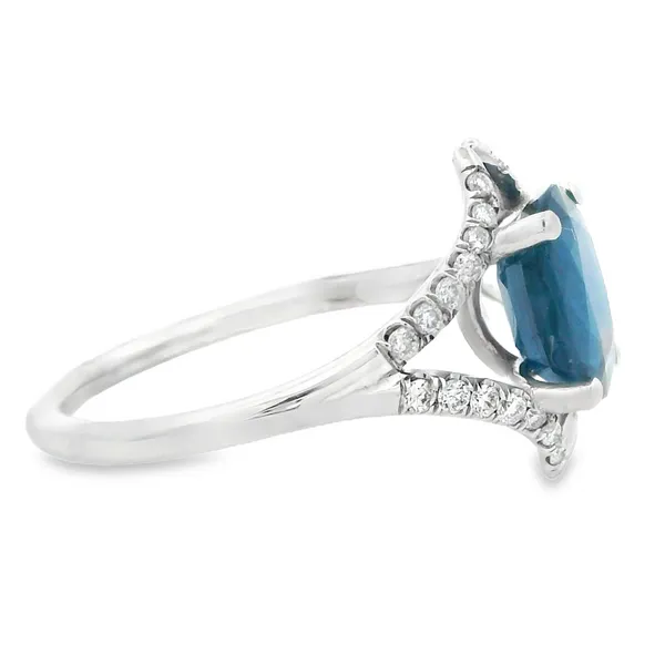 14K White Gold Blue Sapphire Split Shank Ring Image 3 Monarch Jewelry Winter Park, FL