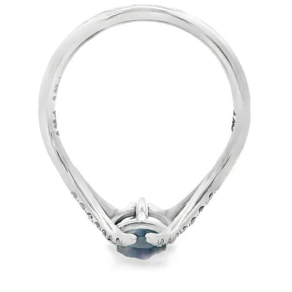 14K White Gold Blue Sapphire Split Shank Ring Image 4 Monarch Jewelry Winter Park, FL