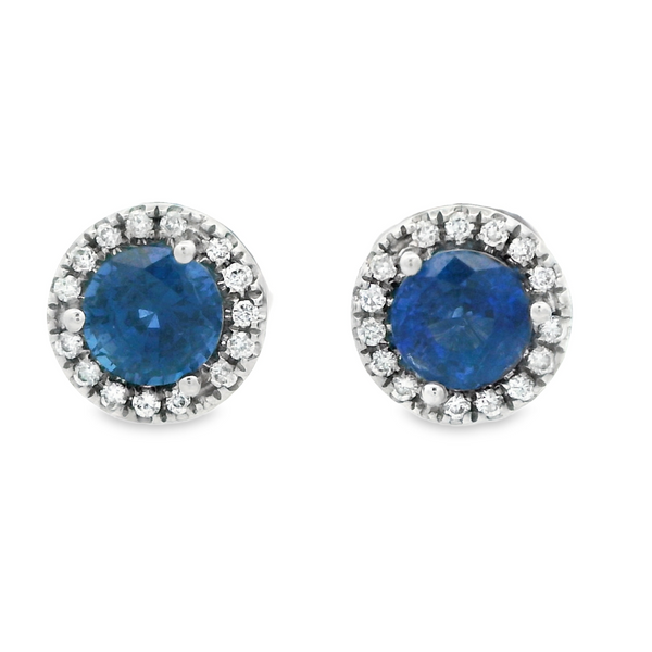 18K White Gold Sapphire Stud Earrings Image 2 Monarch Jewelry Winter Park, FL