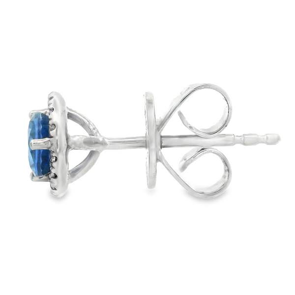 18K White Gold Sapphire Stud Earrings Image 3 Monarch Jewelry Winter Park, FL