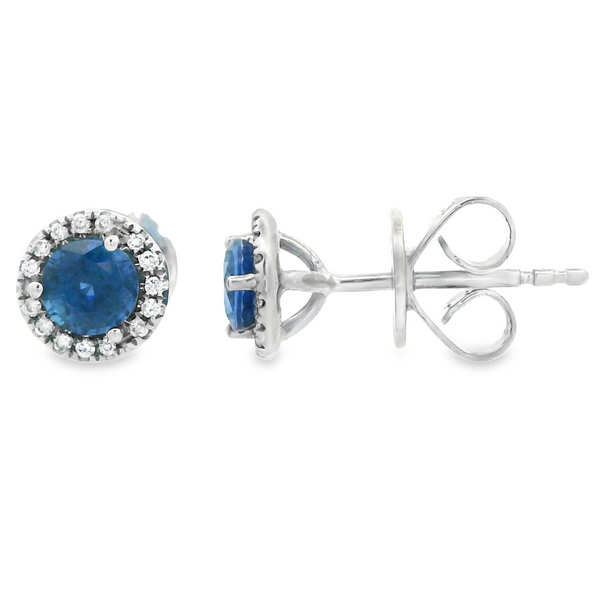 18K White Gold Sapphire Stud Earrings Monarch Jewelry Winter Park, FL