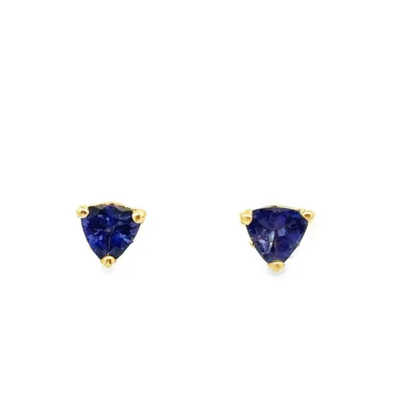 Tanzanite Earrings 210-00332 Monarch Jewelry Winter Park, FL