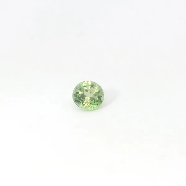 Natural Garnet Demantoid Round Loose Gemstone Monarch Jewelry Winter Park, FL
