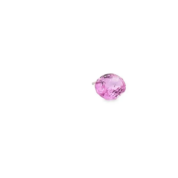 Oval Shape Natural Sapphire 0.81ct 292-00015 Image 4 Monarch Jewelry Winter Park, FL