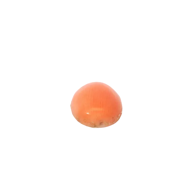 Oval Loose Gemstones Image 2 Monarch Jewelry Winter Park, FL