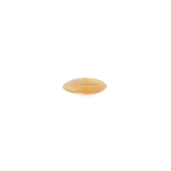 Contemporary Metal - Rings 270-00529 Monarch Jewelry Winter Park, FL