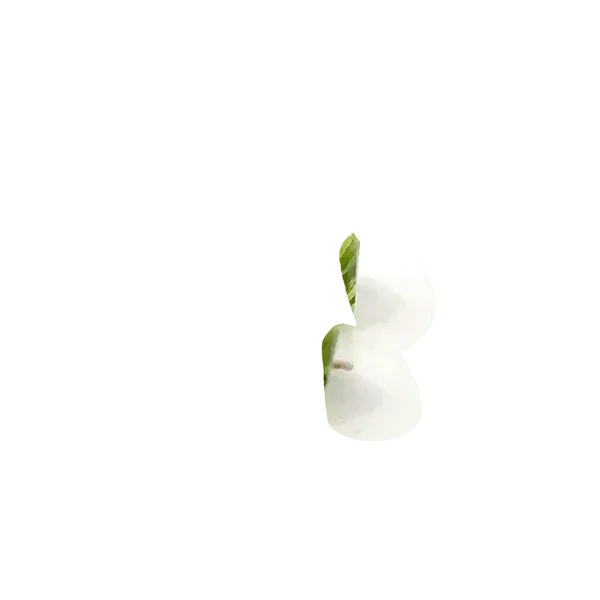 Peridot Loose Gemstones Image 2 Monarch Jewelry Winter Park, FL