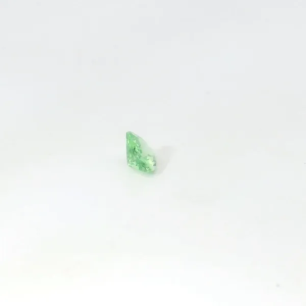 Trillion Shape Garnet Tsavorite Loose Gemstones Image 3 Monarch Jewelry Winter Park, FL