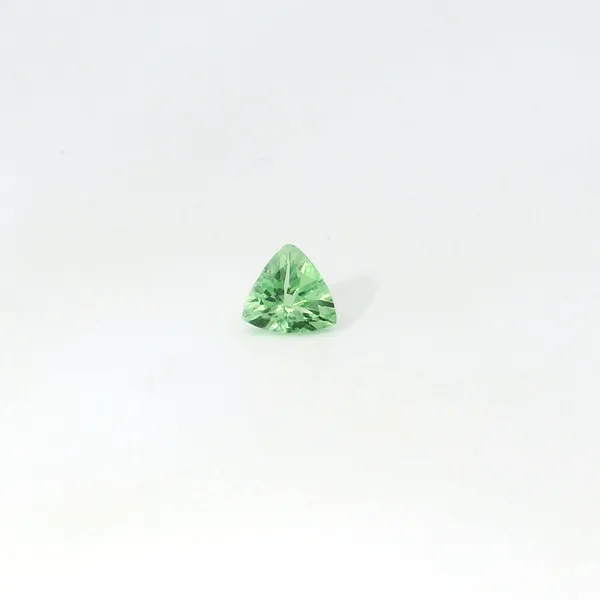 Trillion Shape Garnet Tsavorite Loose Gemstones Image 4 Monarch Jewelry Winter Park, FL